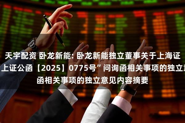 天宇配资 卧龙新能: 卧龙新能独立董事关于上海证券交易所之“上证公函【2025】0775号”问询函相关事项的独立意见内容摘要