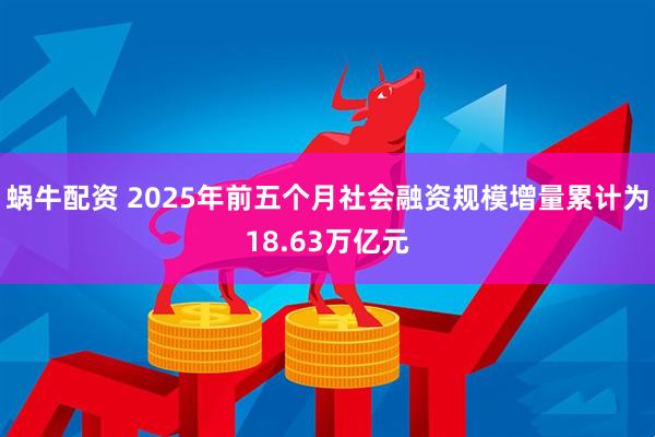 蜗牛配资 2025年前五个月社会融资规模增量累计为18.63万亿元
