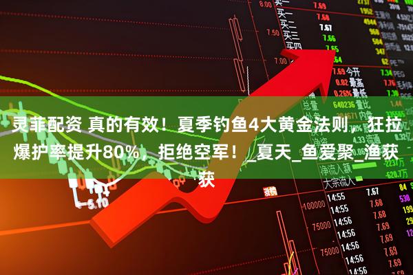 灵菲配资 真的有效！夏季钓鱼4大黄金法则，狂拉爆护率提升80%，拒绝空军！_夏天_鱼爱聚_渔获