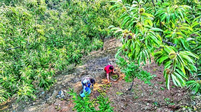泰安配资  【铭记历史 缅怀先烈·走进昔日的抗日战场】昔日包森出奇制敌 今朝遵化出奇致富
